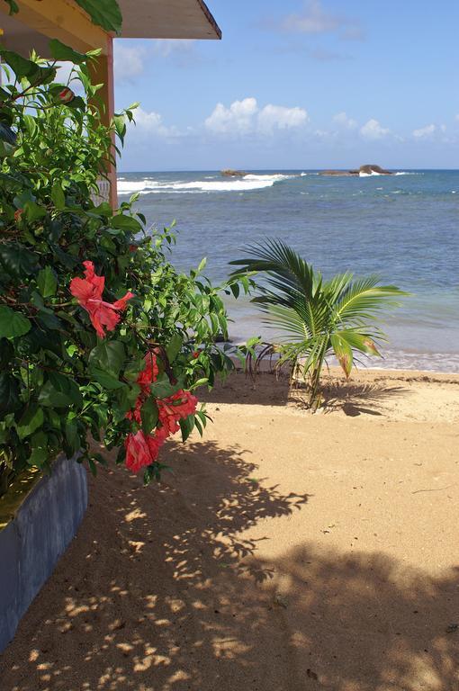 Veranda View Guesthouse Calibishie Buitenkant foto